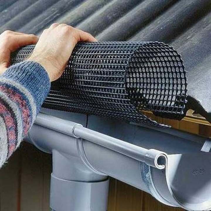 Image title